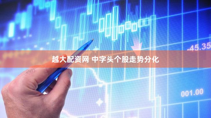 越大配资网 中字头个股走势分化