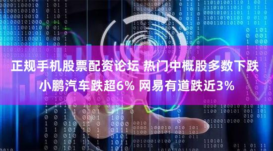 正规手机股票配资论坛 热门中概股多数下跌 小鹏汽车跌超6% 网易有道跌近3%