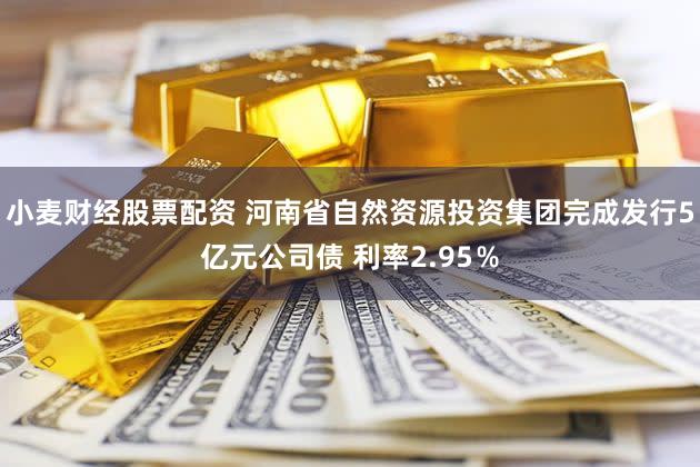 小麦财经股票配资 河南省自然资源投资集团完成发行5亿元公司债 利率2.95％