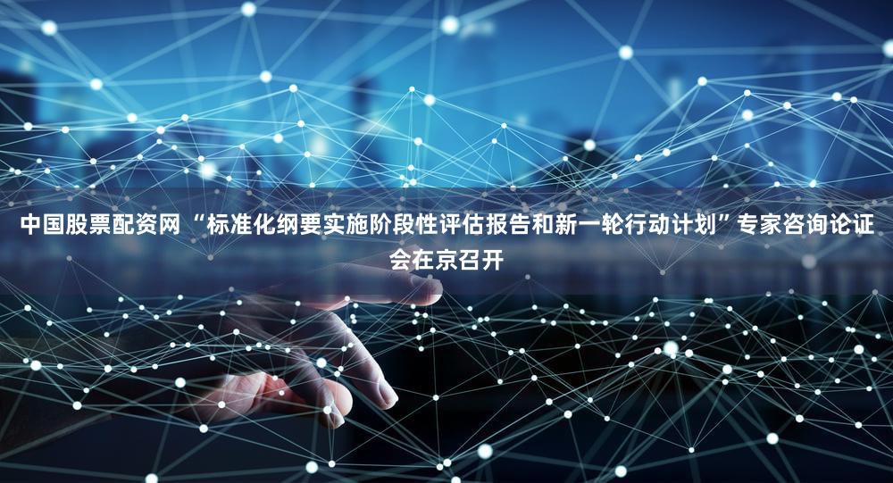 中国股票配资网 “标准化纲要实施阶段性评估报告和新一轮行动计划”专家咨询论证会在京召开