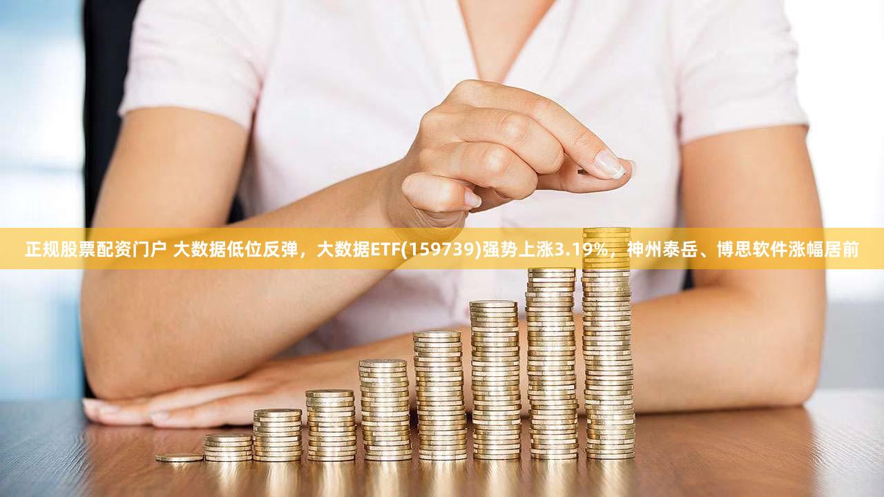 正规股票配资门户 大数据低位反弹,大数据ETF(159739)强势上涨3.19%,神州泰岳、博思软件涨幅居前