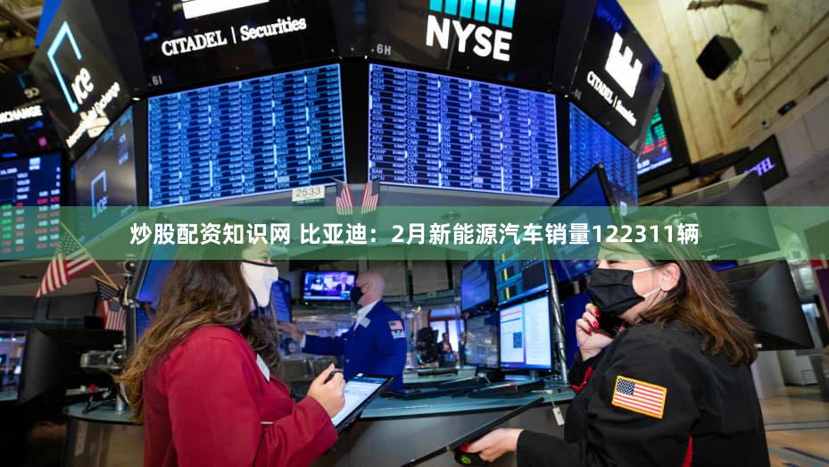 炒股配资知识网 比亚迪：2月新能源汽车销量122311辆