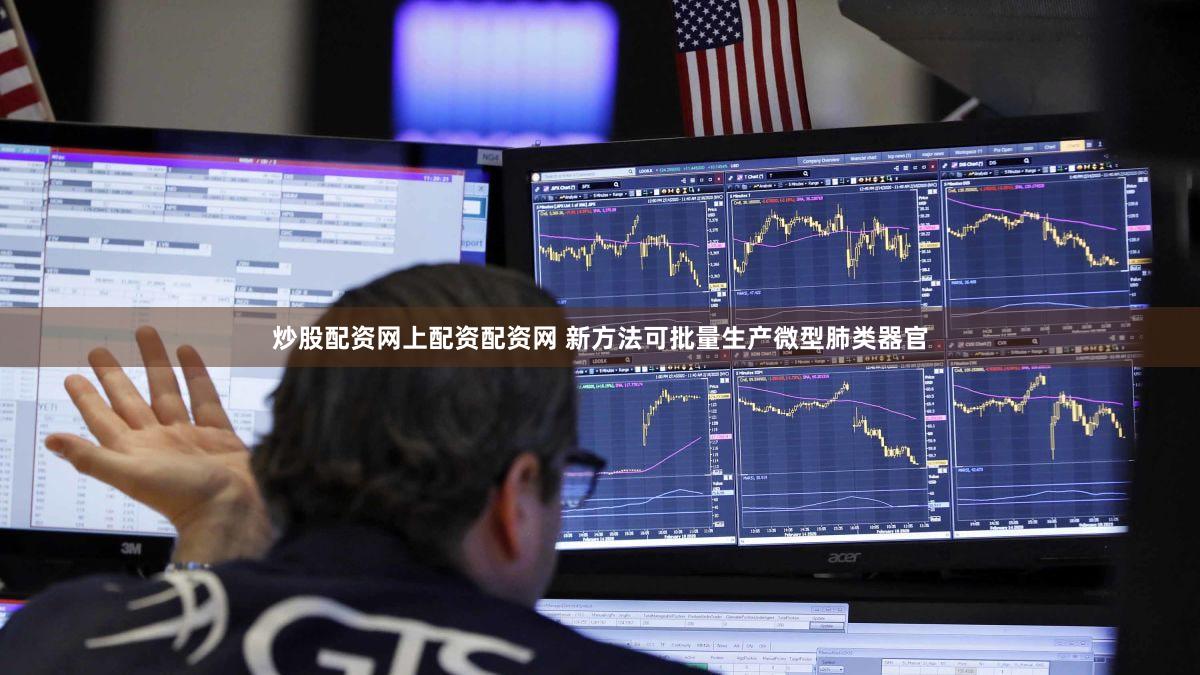 炒股配资网上配资配资网 新方法可批量生产微型肺类器官