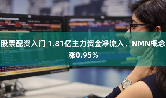 股票配资入门 1.81亿主力资金净流入，NMN概念涨0.95%